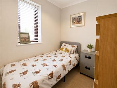Picture 29